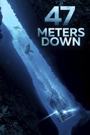 47 Metres Down (2017) Dual Audio | Hindi Full Movie BluRay [850MB]