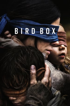 Bird Box 2018 (HQ DUBBED) Dual Audio | Hindi Full Movie WebRip 380MB