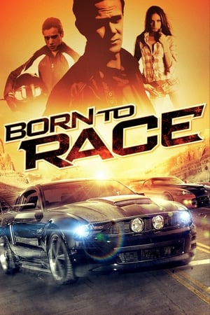 Born to Race 2011 Dual Audio | Hindi Full Movie BluRay [610MB]