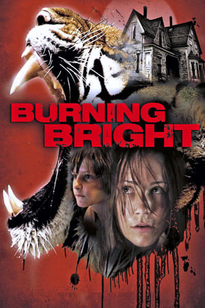 Burning Bright (2010) Dual Audio | Hindi Full Movie BluRay [750MB]