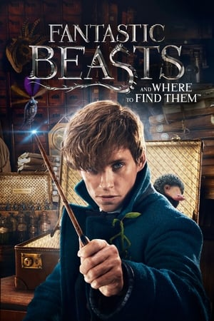 Fantastic Beasts and Where to Find Them 2016 Dual Audio () | Hindi Full Movie Bluray [300MB]