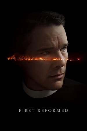 First Reformed 2017 Dual Audio | Hindi Full Movie BluRay 350MB
