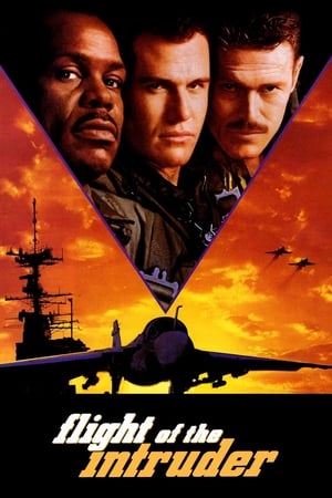 Flight Of The Intruder 1991 Dubbed | Hindi Full Movie