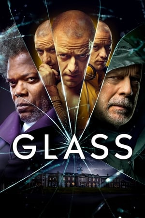 Glass (2019) Dual Audio | Hindi Full Movie BluRay [1GB]