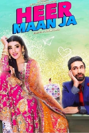 Heer Maan Ja (2019) Urdu Movie | Hindi Full Movie HDRip x264 [1.1GB]