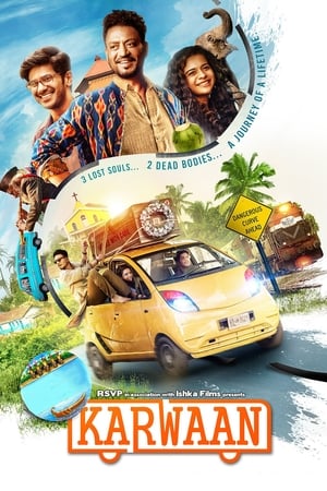 Karwaan (2018) Movie | Hindi Full Movie HDRip - [300MB]