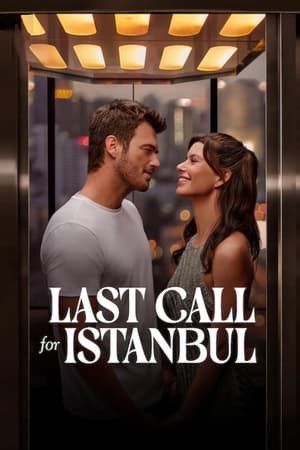 Last Call for Istanbul 2023 Dual Audio HDRip | Hindi Full Movie – 480p