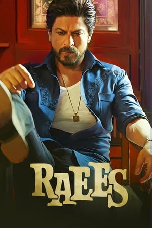 Raees (2017) 400MB Full Movie | Hindi Full Movie DVDRip Download