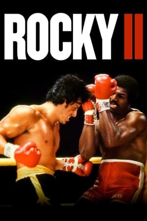 Rocky II (1979) Dual Audio | Hindi Full Movie Bluray 400MB