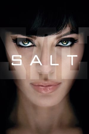 Salt (2010) Dual Audio | Hindi Full Movie BluRay 300MB