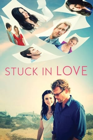 Stuck in Love (2012) Dual Audio | Hindi Full Movie BluRay [850MB]