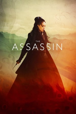 The Assassin 2015 Dual Audio | Hindi Full Movie BluRay 300MB