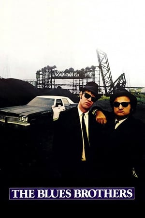 The Blues Brothers (1980) Dual Audio Movie | Hindi Full Movie BluRay - 1.2GB