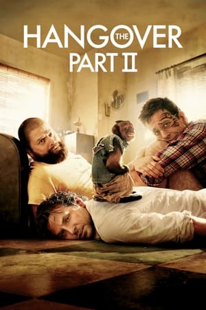 The Hangover Part II (2011) Dual Audio | Hindi Full Movie BluRay [750MB]