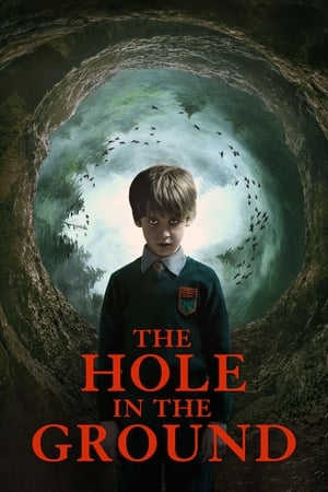 The Hole in the Ground 2019 Dual Audio | Hindi Full Movie BluRay 300MB