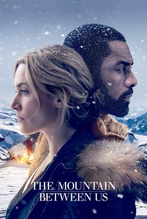 The Mountain Between Us 2017 Dual Audio | Hindi Full Movie Bluray [1GB]