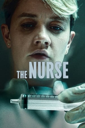 The Nurse Season 1 HDRip | Hindi Full Movie – 480p (Complete)