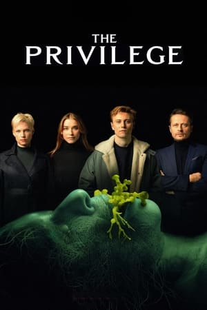 The Privilege (2022) Dual Audio HDRip | Hindi Full Movie – 480p