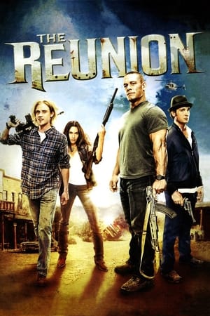 The Reunion (2011) Dual Audio | Hindi Full Movie HDRip 300MB