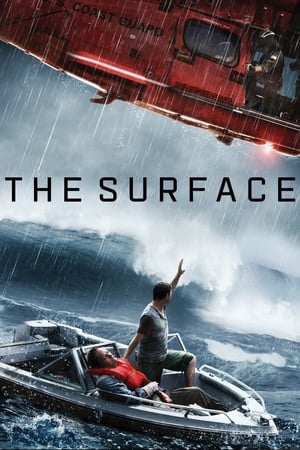 The Surface (2014) Dual Audio | Hindi Full Movie Web-DL 300MB